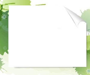 绩效管理与薪酬设计实务